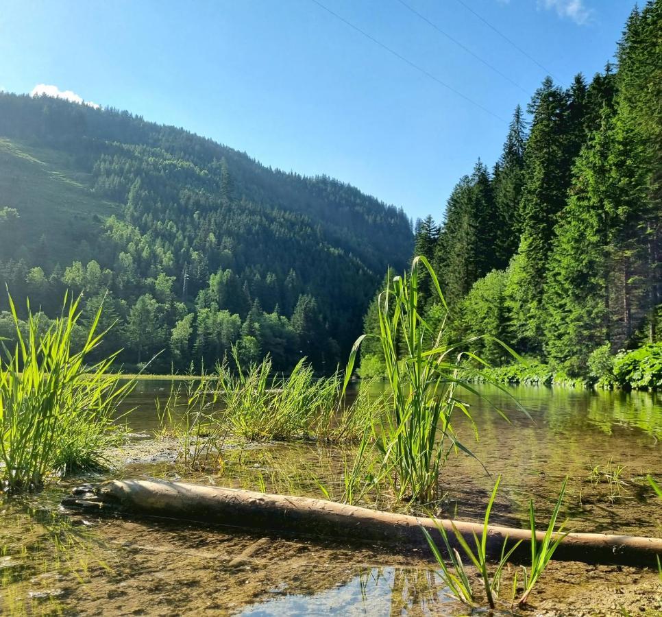 Das Geringer Schladming Bagian luar foto